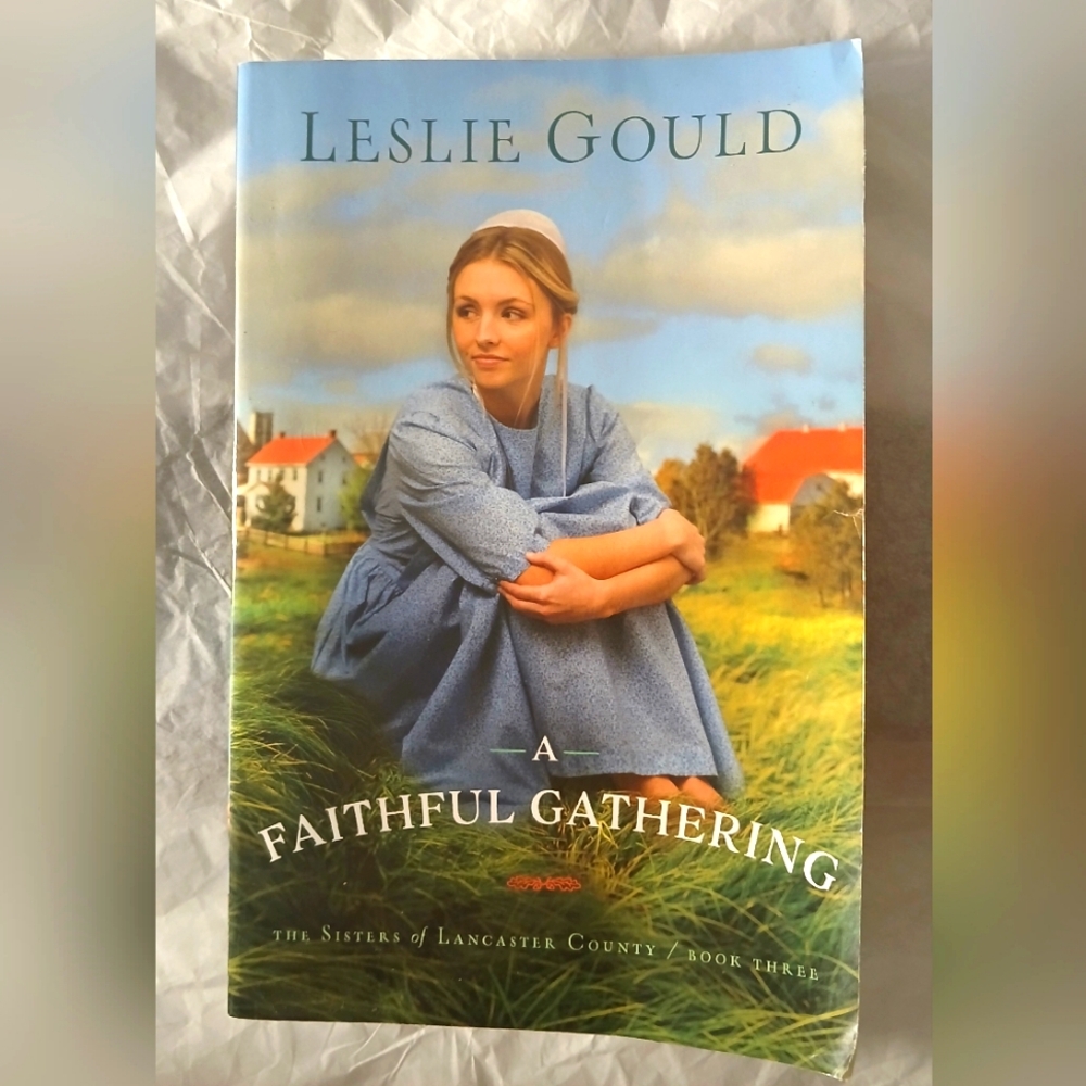 Novel by Leslie Gould